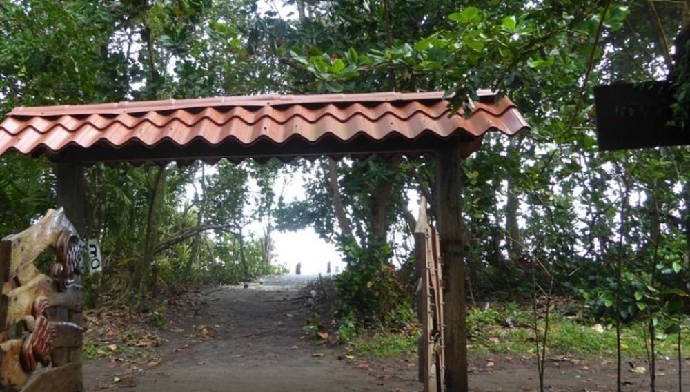Miss Junies Lodge Tortuguero Buitenkant foto