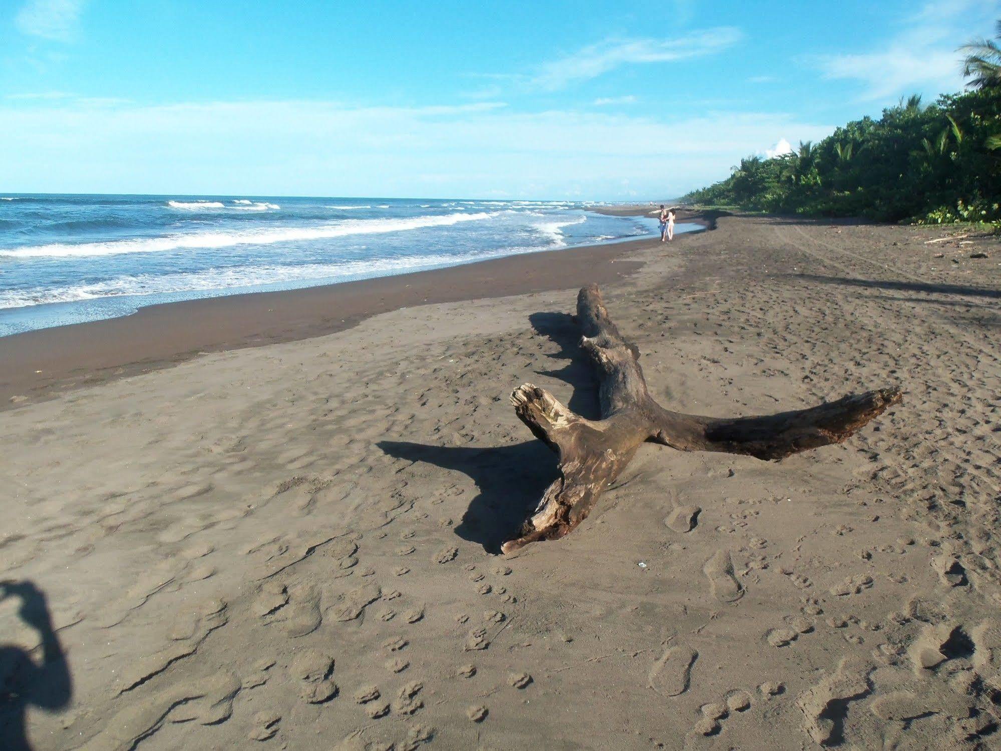 Miss Junies Lodge Tortuguero Buitenkant foto